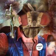 Unhappy Fly - Unhappy Fly