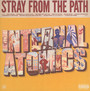 Internal Atomics - Stray From The Path