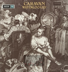 Waterloo Lily - Caravan