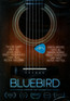 Bluebird - Documentary