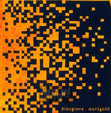 Marigold - Pinegrove