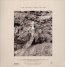 Shifts - Shida Shahabi
