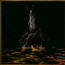 When A Shadow Is Forced Into The Light - Swallow The Sun When A Shadow Is Forced Into The Light - Swallow The Sun
