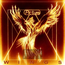 Wings - Picture
