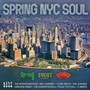 Spring NYC Soul - V/A