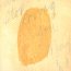 Suite For Max Brown - Jeff Parker - bigger Suite For Max Brown - Jeff Parker