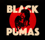 Black Pumas - Black Pumas