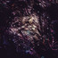 Unfold The God Man - Psychonaut