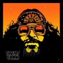 Punk Rock Guilt - Brant Bjork