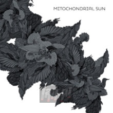 Mitochon Drial Sun - Mitochondrial Sun