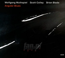 Angular Blues - Wolfgang Muthspiel / Scott Colley / Brian Blade
