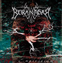 Empiricism - Borknagar