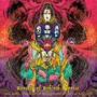 Reverse Of Rebirth Reprise - Acid Mothers Temple