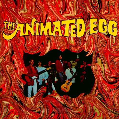 Animated Egg - Animated Egg