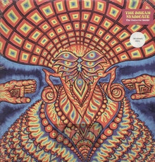 The Universe Inside - The Dream Syndicate 