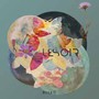 Mosaic - Lesoir