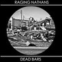 Split 7 Inch - Raging Nathans & Dead Bars