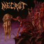 Mortal - Necrot