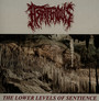 The Lower Levels Of Sentience - Astriferious