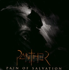 Panther - Pain Of Salvation - bigger Panther - Pain Of Salvation