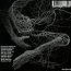 Shadow Of Life - Umbra Vitae - bigger Shadow Of Life - Umbra Vitae