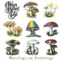 Mycology: An Anthology - The Allman Brothers Band 