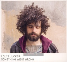 Something Went Wrong - Louis Jucker