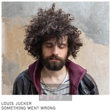 Something Went Wrong - Louis Jucker