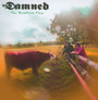 Rockfield Files - The Damned