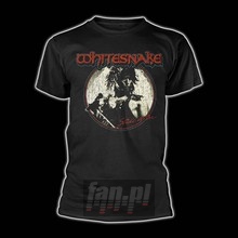 Slide _TS80334_ - Whitesnake