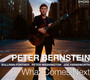What Comes Next - Peter Bernstein