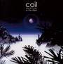 Musick To Play In The Dark - Coil