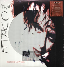 Bloodflowers - The Cure