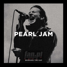 Bridging The Gap - Pearl Jam