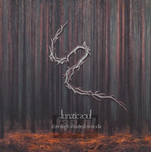Through Shaded Woods - Lunatic Soul