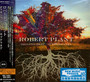 Digging Deep: Subterranea - Robert Plant