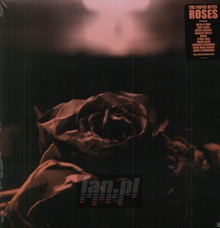 Roses - The Paper Kites 