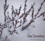Winter Contemplations - Soul Dissolution
