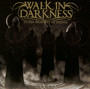 In The Shadows Of Things - Walk In Darkness