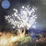 Vertigo Days - The Notwist Vertigo Days - The Notwist