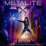 A Virtual World - Metalite