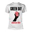 American Idiot Heart _TS803341058_ - Green Day