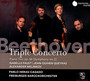 Beethoven Triple Concerto Op. 56 - Freiburger Barockorcheste