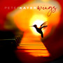 Wings - Peter Kater