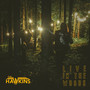 Live In The Woods - Hawkins