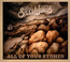 All Of Your Stones - Steel Woods