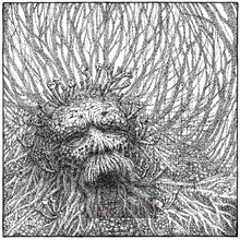 Nemorous - Nemorous - bigger Nemorous - Nemorous