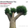 Bewegtes Feld - Vincent Meissner  -Trio-