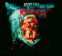 Independent - Asylum