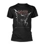 To Hell With God Gargoyle _TS80334_ - Deicide